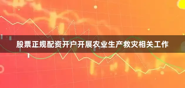 股票正规配资开户开展农业生产救灾相关工作