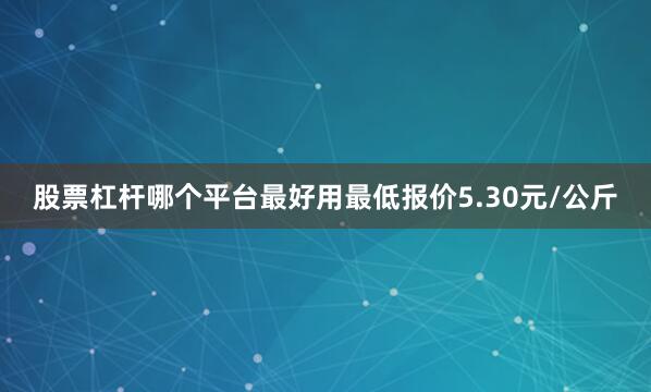 股票杠杆哪个平台最好用最低报价5.30元/公斤
